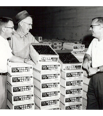 John Parkhill (Fruit Salesman), Ike Wade, Jim Wade